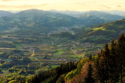 Blick auf die Hügellandschaft der Oststeiermark von oben im Herbst