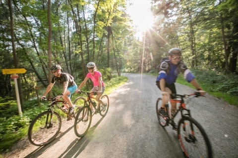 Gruppe fährt mit E-Bikes durch einen Wald auf einer Schotterstraße