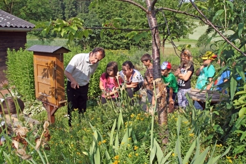Eine Kindergruppe bei einer Führung durch den Garten