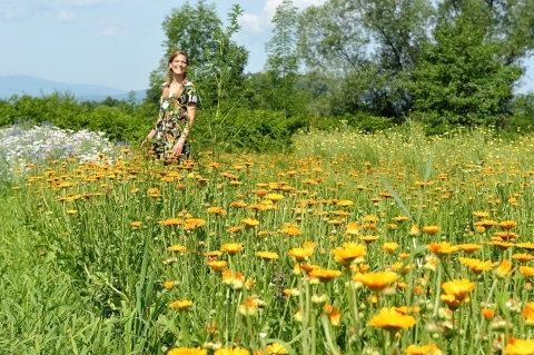 Eine Frau in einem Feld voller orangener Ringelblumen