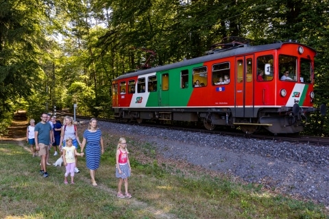 Gruppe von Erwachsenen und Kindern geht am stehenden Zug im Wald vorbei