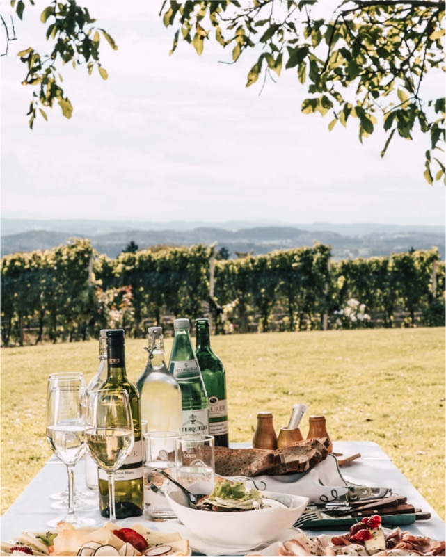 Ein gedeckter Tisch im Weingarten