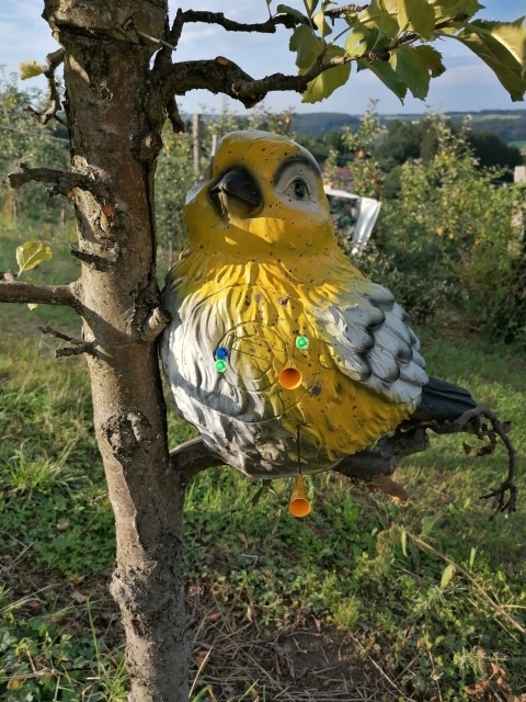 Eine 3-D-Attrappe eines Vogels, welche als Ziel beim Blasrohrschießen dient