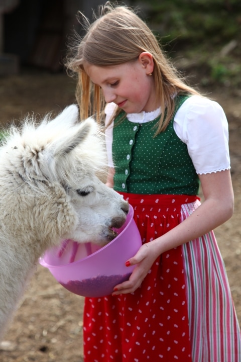 Ein Mädchen füttert ein Tier