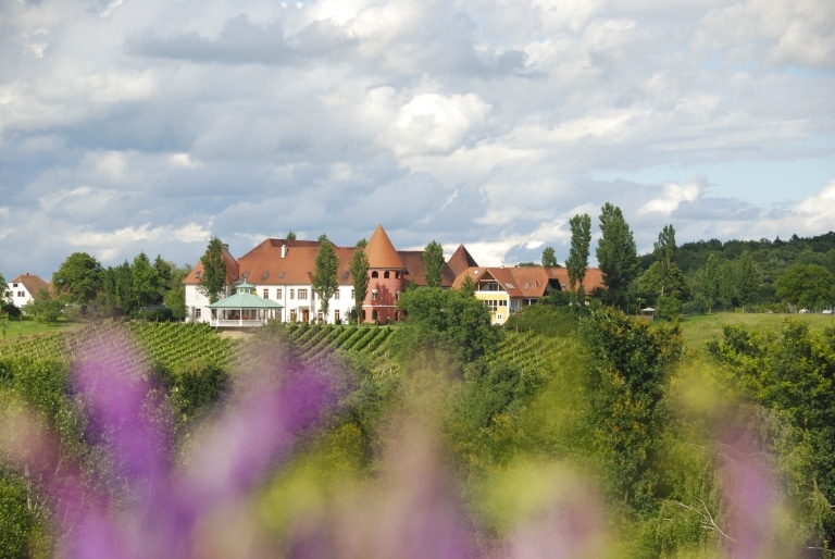 Das Weinschloss Thaller aus der Ferne mit Blick auf die Weingärten