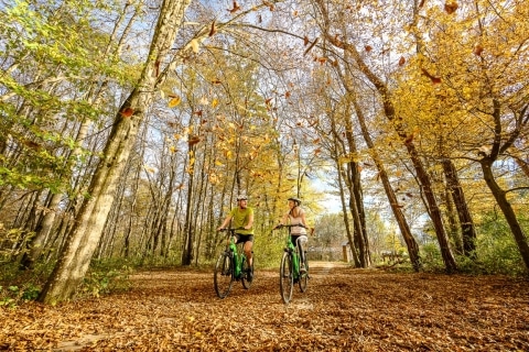 Mann und Frau fahren mit dem Rad durch den herbstlichen Wald