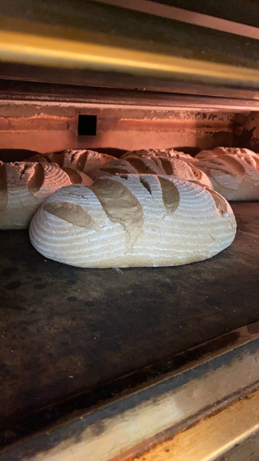 Brot im Backofen