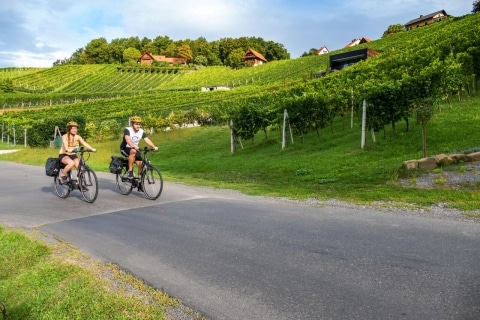 Pärchen fährt entlang der grünen Weinberge mit dem Fahrrad