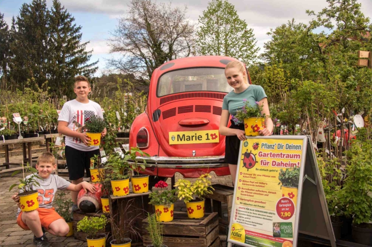 Ein roter VW Käfer der als Kunstobjekt in einem Garten steht