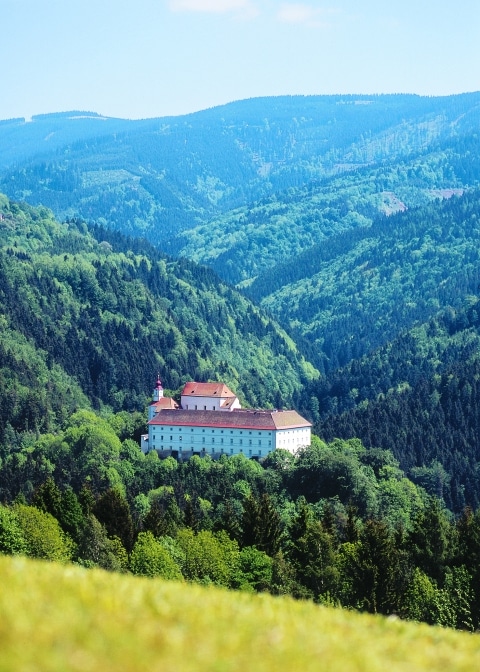 Ansicht aus der Ferne auf die Burg Festenburg
