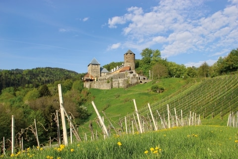 Außenaufnahme der Burg umringt von Weingärten und Natur