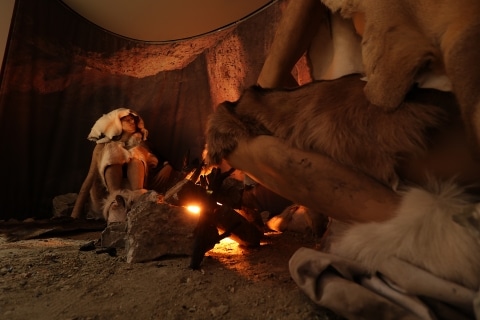 Eine Skulptur von einer Behausung der Neandertaler im Lurgrotten Museum