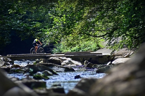 Mann auf Rad fährt über den Fluss