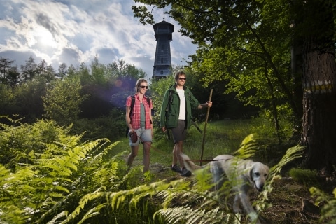 Ein Mann und eine Frau mit einem Hund die um das Gebiet der Ringwarte wandern