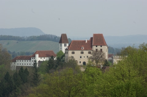 Schloss Seggau Luftaufnahme