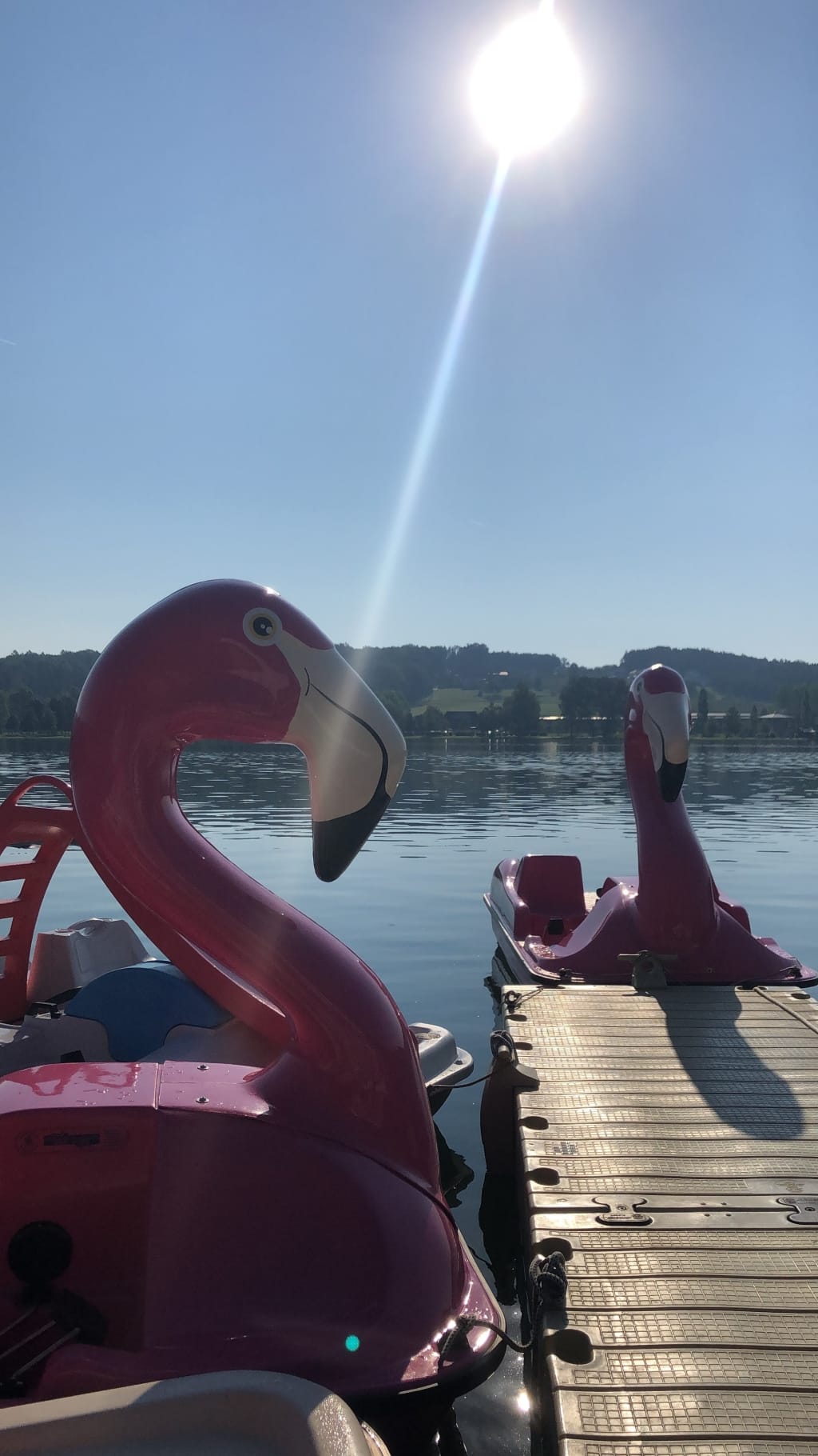 Trettboote in Flamingoform