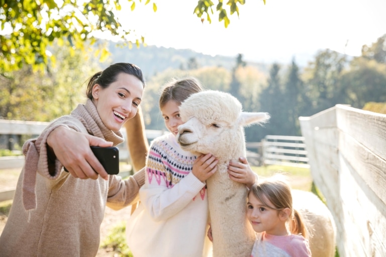 Eine Frau macht ein Selfie mit zwei Mädchen neben einem Alpaka