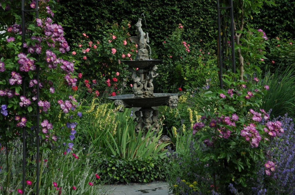 Sulamith Garten Rosenblüte mit Springbrunnen