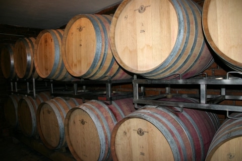 Holzfässer gefüllt mit Wein im Weingut Gwaltl