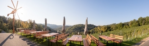 Panoramafoto des Außenbereichs rund um das Weingut Trabos