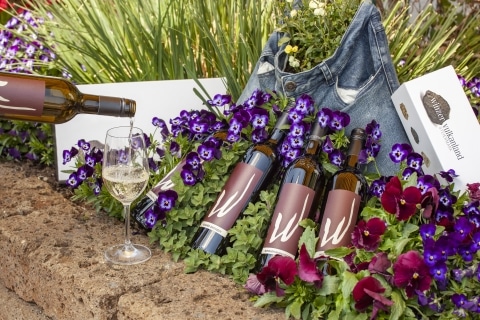 Weinflaschen vor blühenden Veilchen in einem Garten