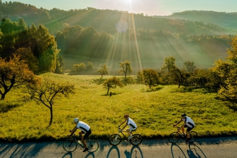 Radfahrer die im Herbst durch die Landschaft fahren